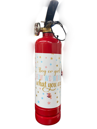 GENDER REVEAL FIRE EXTINGUISHER  COLOR BLASTERS BESTSELLERS!!!